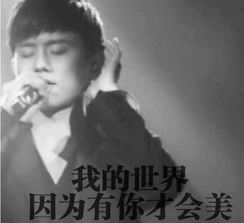 我的世界因为有你才会美什么歌