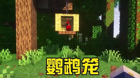 我的世界手机版鹦鹉怎么驯服[图2]