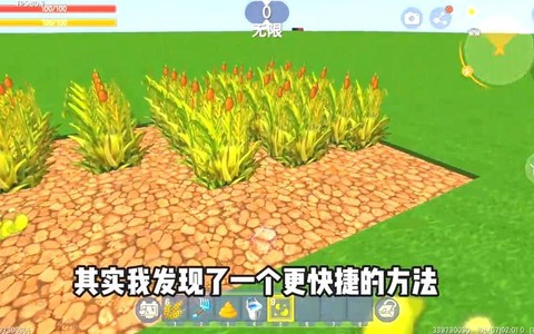 迷你世界的小麦怎么种
