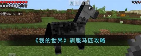 我的世界怎么召唤马[图1]
