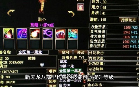 天龙八部珍兽觉醒有什么用[图1]