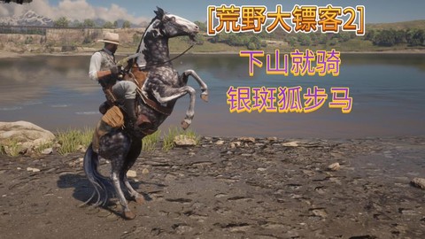 荒野大镖客马怎么洗澡