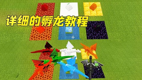 我的世界恐龙怎么孵化[图2]